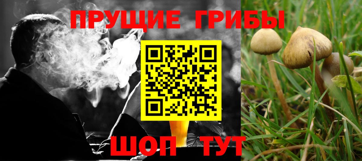 Галлюциногенные грибы ЛСД Тольятти